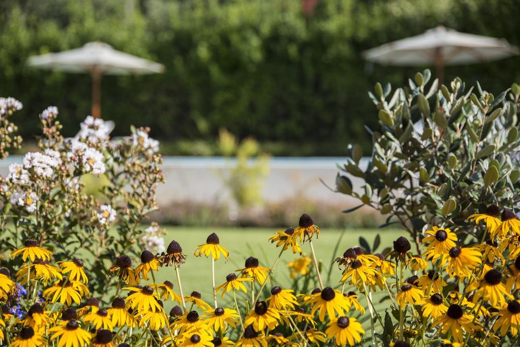 Ca Muretta Relais Bardolino Exteriér fotografie